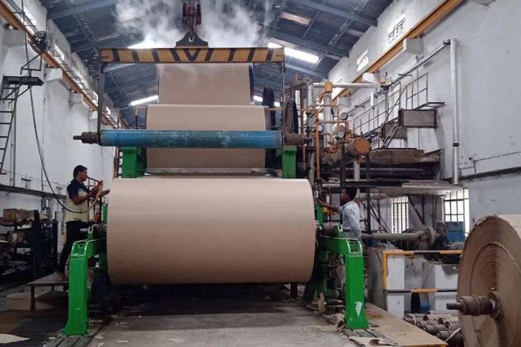 Kraft Paper Roll Processing